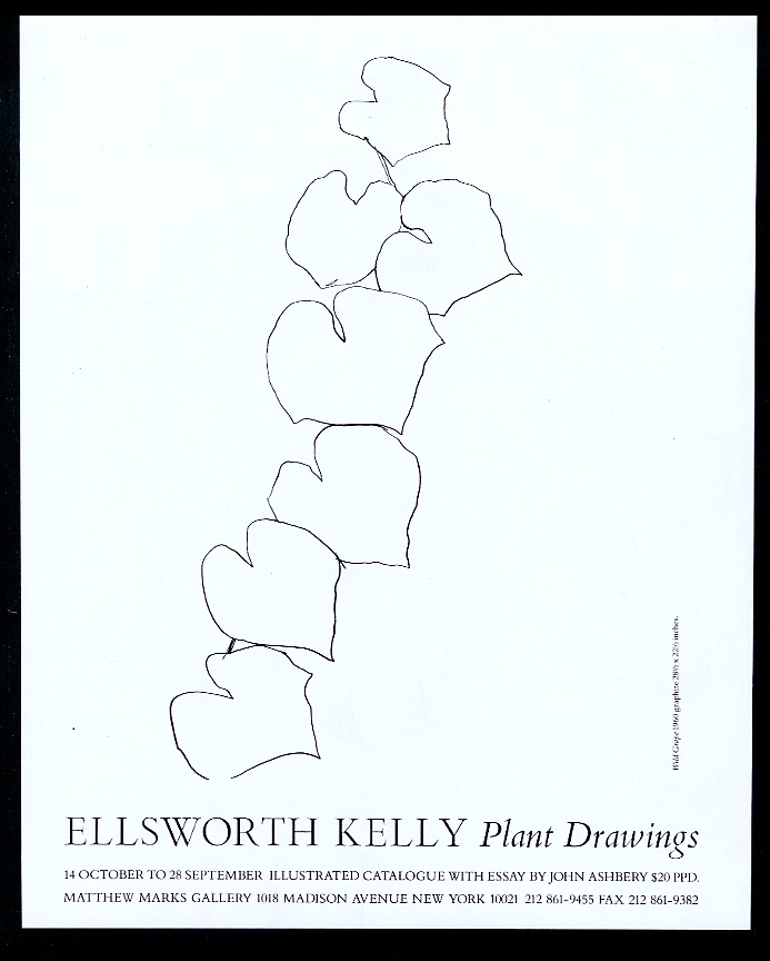 1992 Ellsworth Kelly Plant Drawings NYC gallery show vintage print ad