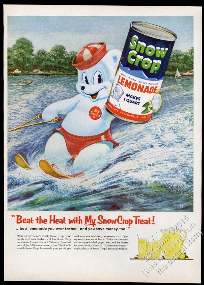 1955 polar bear waterskiing Teddy SnowCrop lemonade vintage print ad