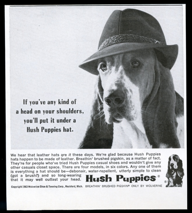 hush puppy shoes dog